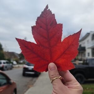 Meet your Posher, Rose